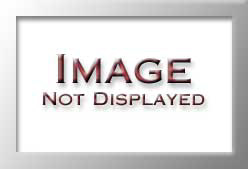 M-VF1541